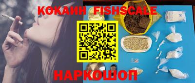 альфа пвп Новодвинск