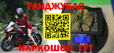альфа пвп Новодвинск