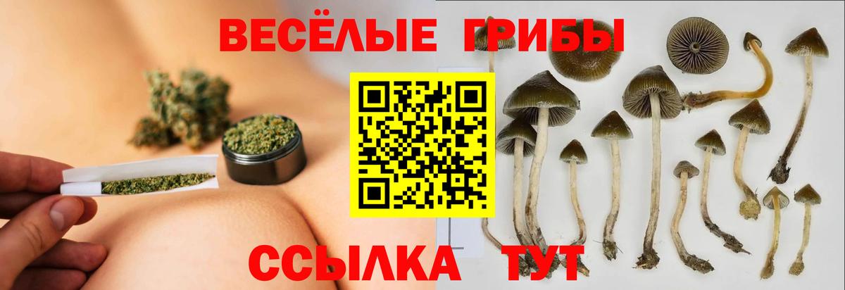 Сухой Лог  Псилоцибиновые грибы мухоморы  Псилоцибиновые грибы мухоморы  Вход с VPN 